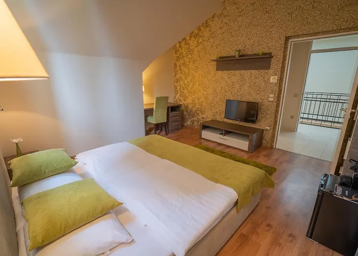 住宿加早餐酒店 Avilla Thanhoffer