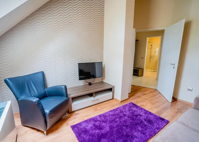 住宿加早餐酒店 Avilla Thanhoffer