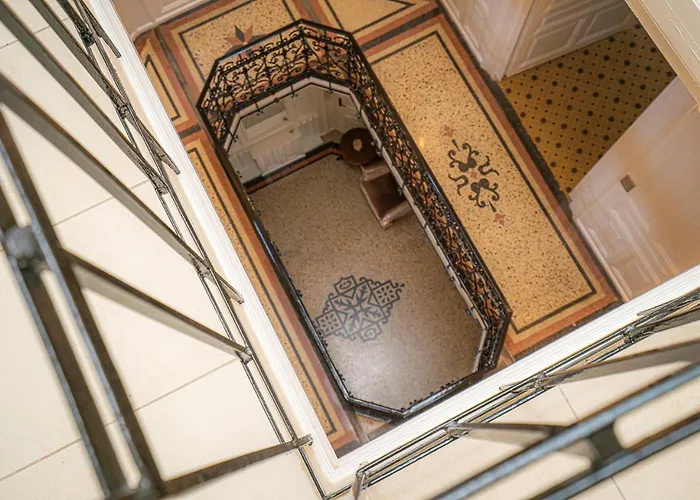 Avilla Thanhoffer 希欧福克